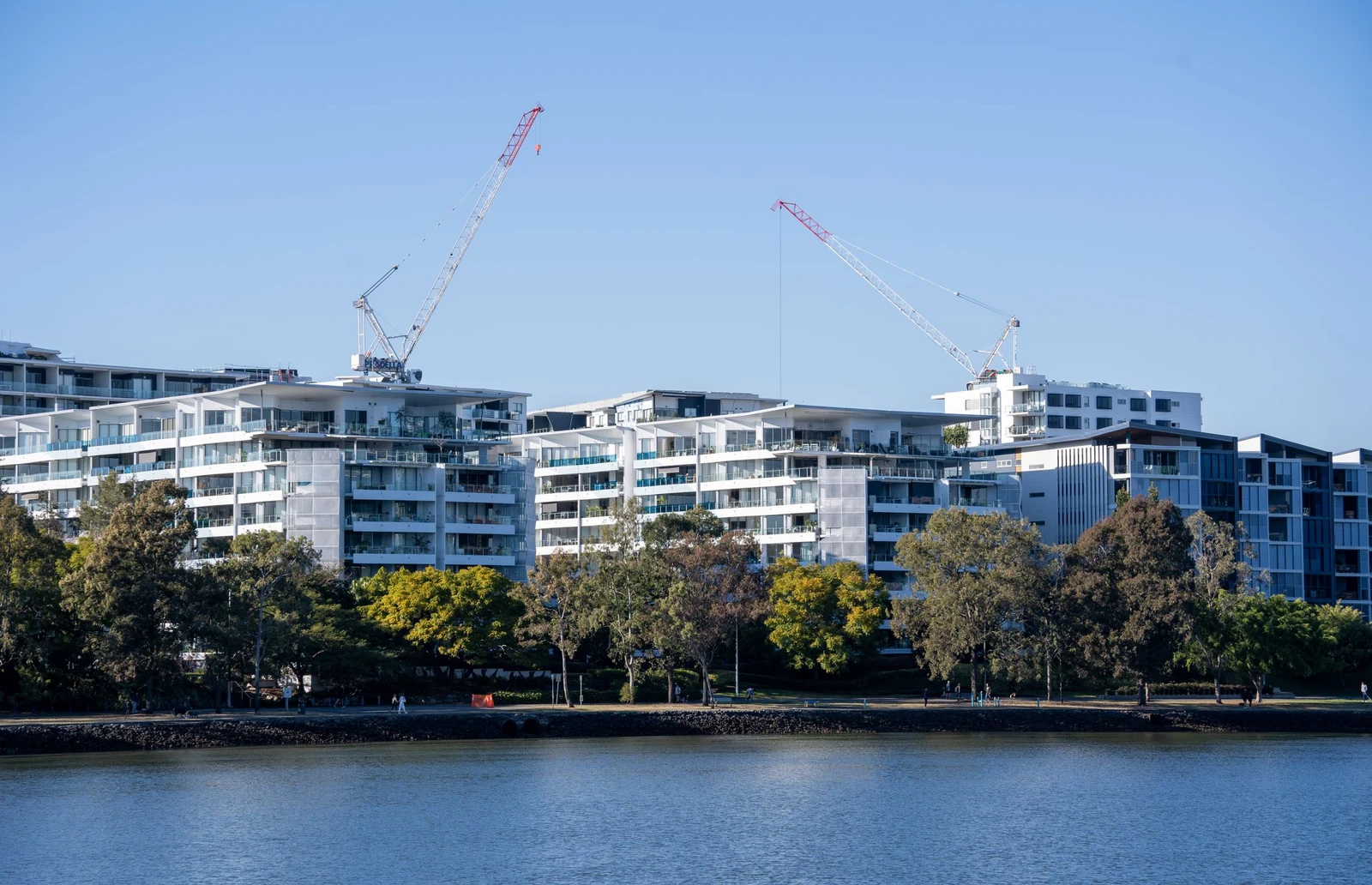Sydney riverside development with apartment buildings and construction cranes
